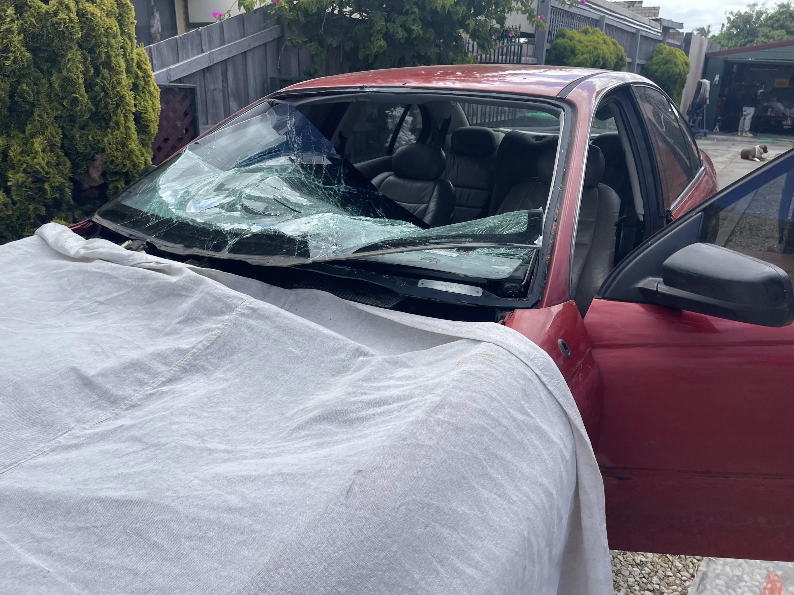 Holden Commodore windscreen replacement