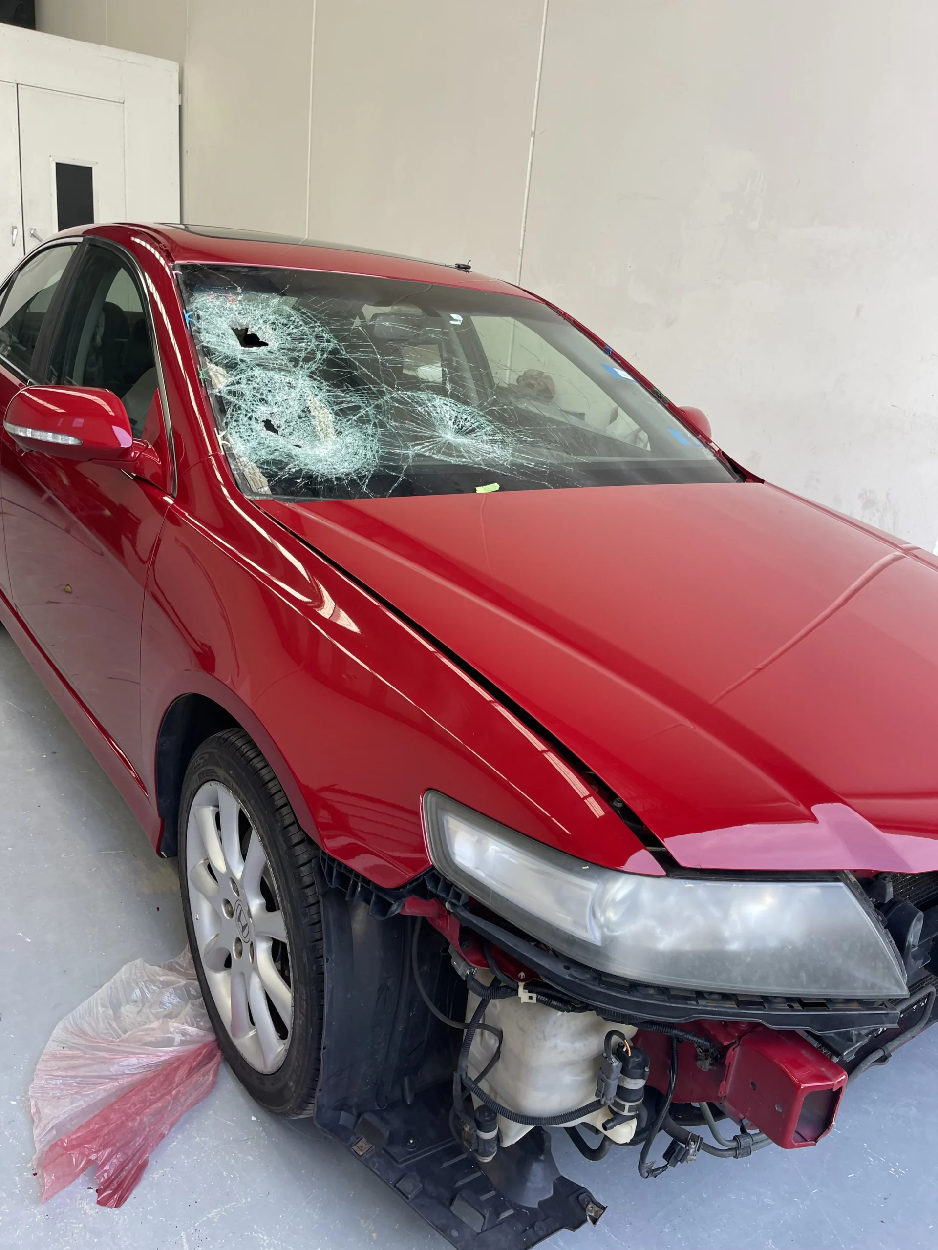Honda Accord Euro windscreen replacement